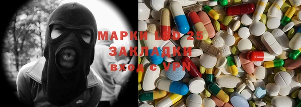 стафф Арсеньев